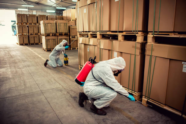 Best Best Pest Control Companies  in Compton, CA
