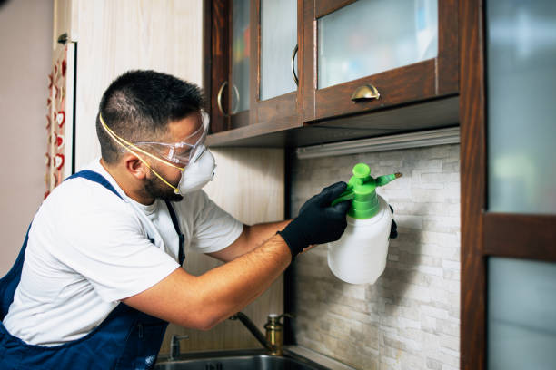 Best Commercial Pest Control Services  in Compton, CA