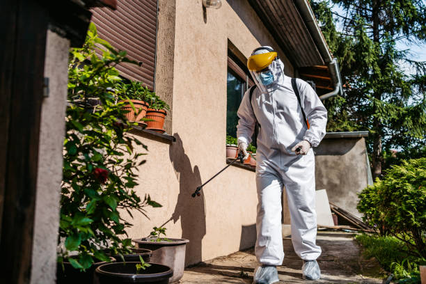 Best Best Pest Control Companies  in Compton, CA