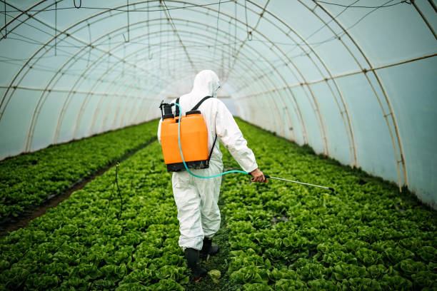 Best Affordable Pest Control Services  in Compton, CA