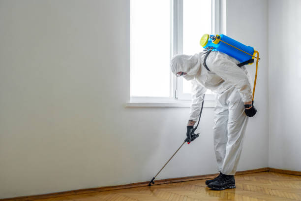 Best Spider Control Near Me  in Compton, CA