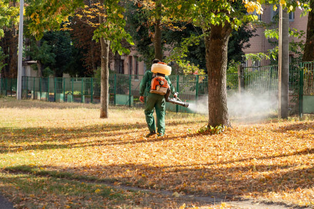 Best Affordable Pest Control Services  in Compton, CA