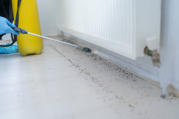  Compton, CA Pest Control Pros